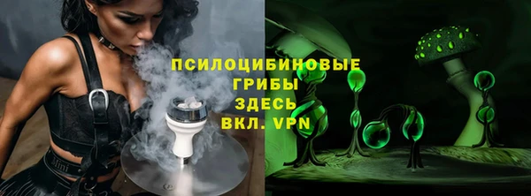 прущие грибы Белоозёрский