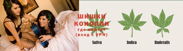 прущие грибы Белоозёрский