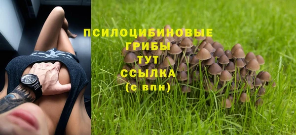 дмт Беломорск