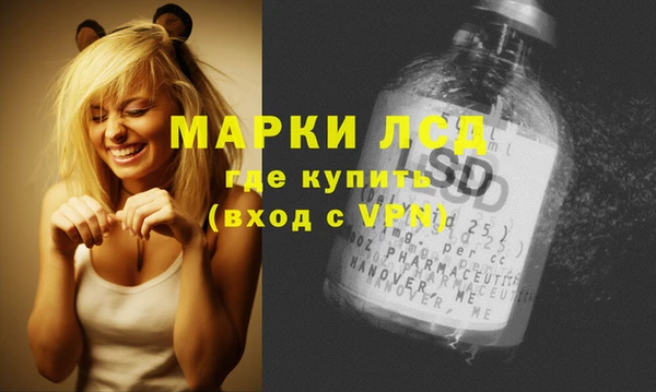 прущие грибы Белоозёрский