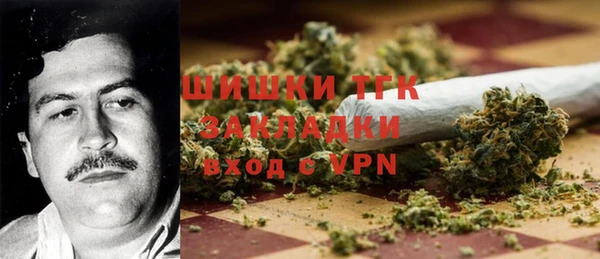 прущие грибы Белоозёрский