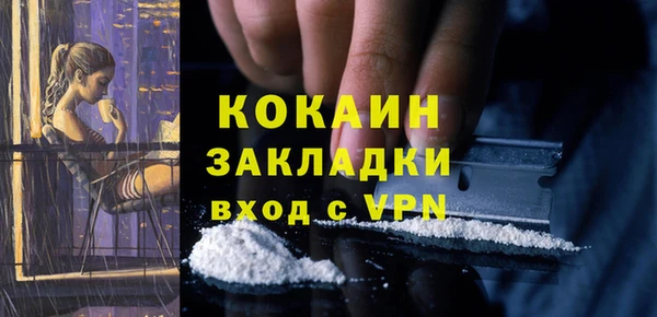 прущие грибы Белоозёрский