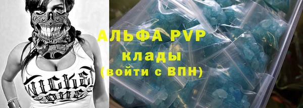 прущие грибы Белоозёрский