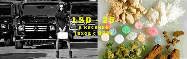 прущие грибы Белоозёрский