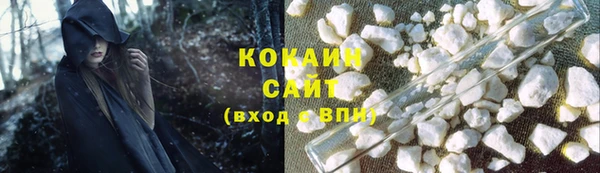 прущие грибы Белоозёрский