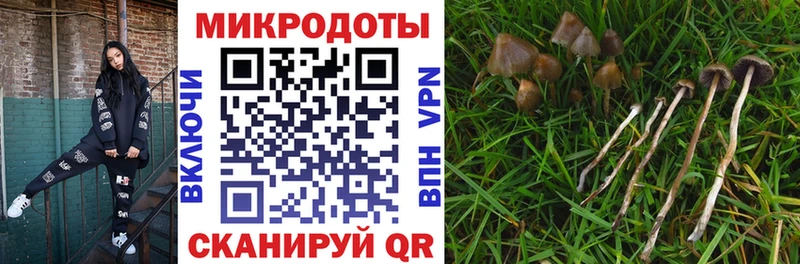 Псилоцибиновые грибы мицелий  Малмыж 